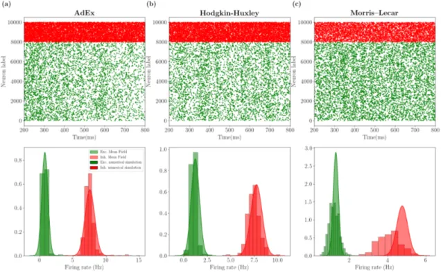 Figure 3: Mean-field predictions and spontaneous activity: AdEx, HH and ML Top pan- pan-els show raster plots for excitatory (green dots) and inhibitory (red dots) neurons, i.e