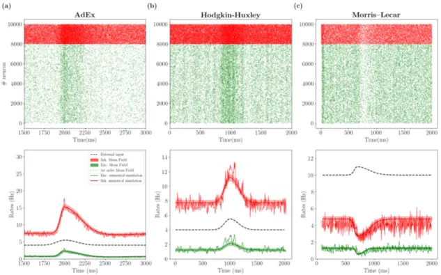 Figure 4: Population response to external stimuli: AdEx, HH and ML Top panels show the raster plot for excitatory (green dots) and inhibitory (red dots) neurons in response to an external excitatory stimulus (black dashed line in lower panels)