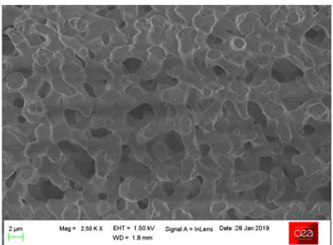 Figure 1 : microstructure typique d’un matériau poreux  préparé dans cette étude. 