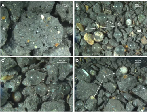 Figure 6: Parts of collected ejecta produced at four impact experiments. In each case we found multimineralic large fragments (α), monomineralic fragments (β) and individual inclusions that were attached to a small amount of CM matrix.