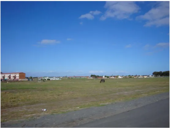 Figure 6: Ottery Road, Ottery.