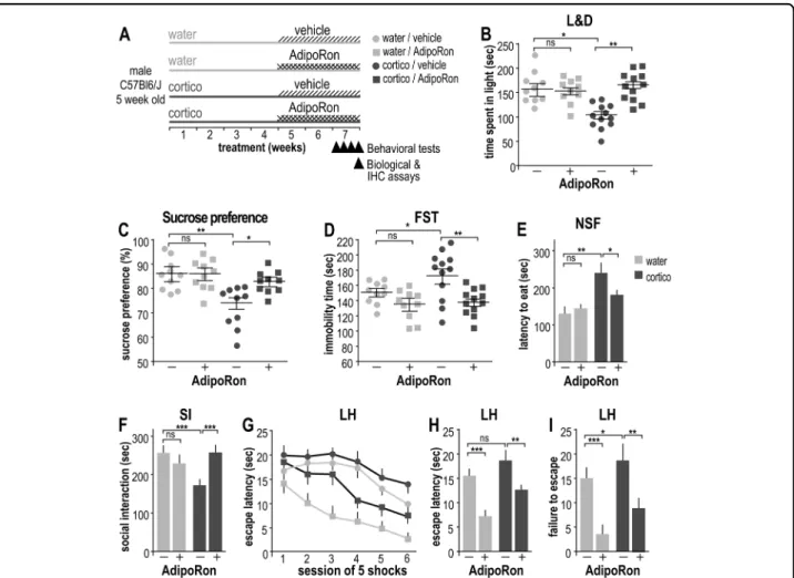 Fig. 2 Antidepressant-like effects of AdipoRon assessed through behavioral tests on corticosterone-induced depressive-like mice