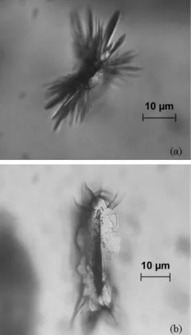 Fig. 8. Raman spectrum of a liquid phase contamination sample before and after laser irradiation.