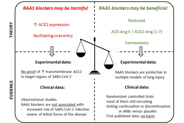 FIGURE 2 | Summarizing illustration. Theoretical pros and cons in the debate on the use of RAAS blockers in the context of the COVID-19 pandemic, and available experimental and clinical evidence to date