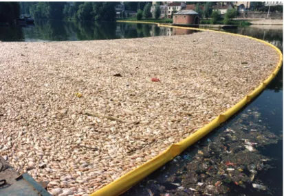 Fig. 12 The last large ﬁ sh mortality event in the Paris conurbation due to wastewater discharge in the Seine
