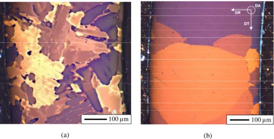 FIG.  1—Optical  micrographs  of  transverse  cross-sections  of  creep  tested  model  α Zr (O)  samples  containing  in  average (a) 2 wt.% and (b) 4.3 wt.% of oxygen (outer surface on the left); DR: radial direction; DA: tube axis; DT: 