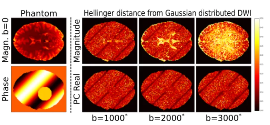 Fig. 2. The distance from Gaussianity of complex DWIs obtained by processing a HCP dataset and a synthetic phase image