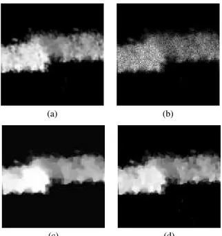 Fig. 2. Results of constrained formulations (11) and (20) on a 3D real biological image