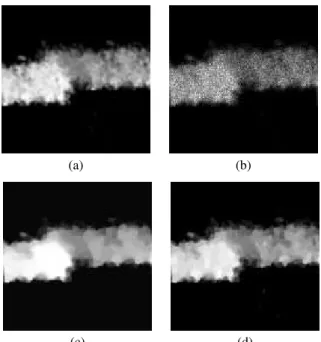 Fig. 2. Results of constrained formulations (11) and (20) on a 3D real biological image