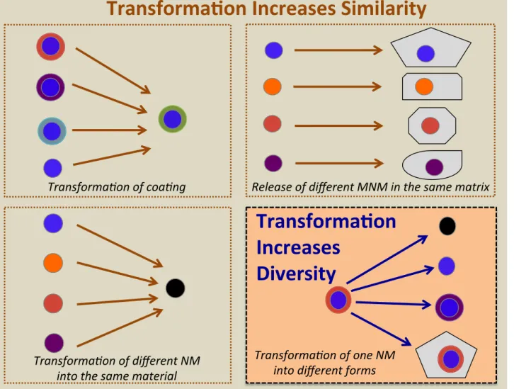 Fig. 2. Transformation reactions can make different ENPs more similar by coating many particle types with the same capping agent or when various particles are (re)-coated by a material in the matrix (top left square); transformation of different particles 