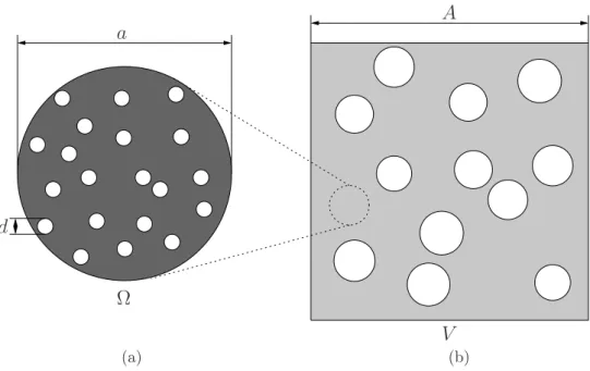 Figure 1: Two populations of voids of different sizes. (a) Representative volume element Ω at the mesoscopic scale showing the microstructure