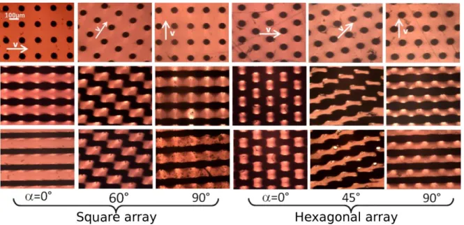 Fig. 2. Snapshots of nanoparticles deposits around micropillars. The upper row shows naked micropillars without captured particles,  the second and the bottom rows show nanoparticle deposits for the sample F1 at the flow speed u=7.14x10 -4  m/s and 2.14x10