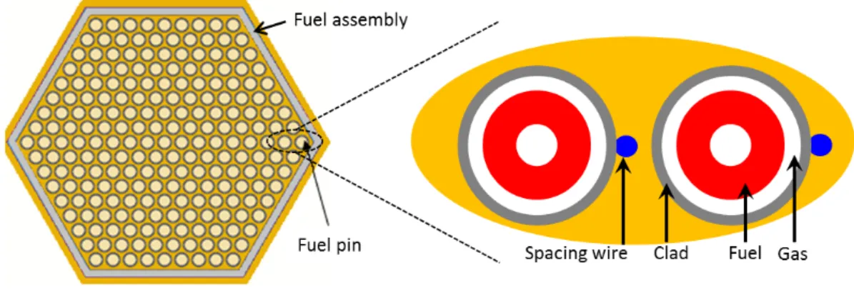 Figure 2: A schematic representation of a fuel pin and a fuel assembly in nuclear fast-neutron reactors.