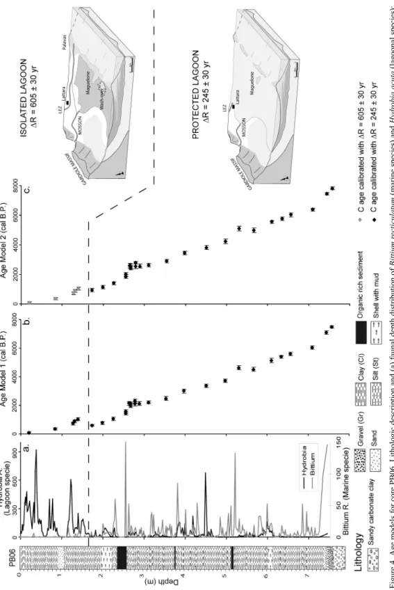 Figure 4 Age models for core PB06. Lithologic description and (a) faunal depth distribution ofBittium recticulatum (marine species) and Hydrobia acuta (lagoonal species); (b) Age model 1 obtained on lagoonal mollusk shells (Table 2) with aR of 605 ± 30 yr