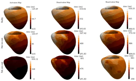 Fig. 5: Different phases for each of the three simulations (from above to below):