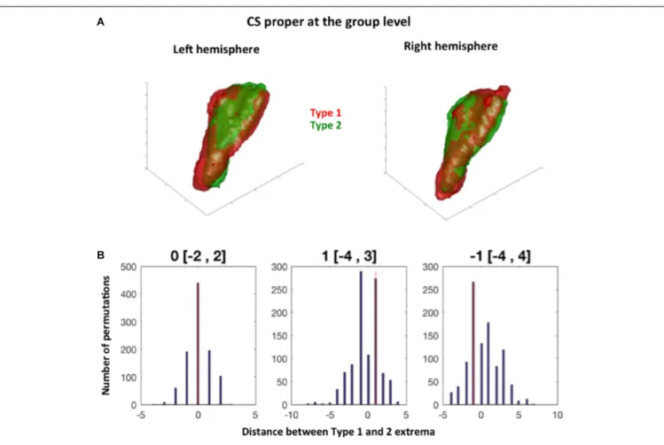 FIGURE 3 | Permutation test procedure. (A) Two blobs are defined at the group level by merging the sulci of Type 1 and Type 2 subjects for a given sulcus (here illustrated with the collateral sulcus proper for both hemispheres)