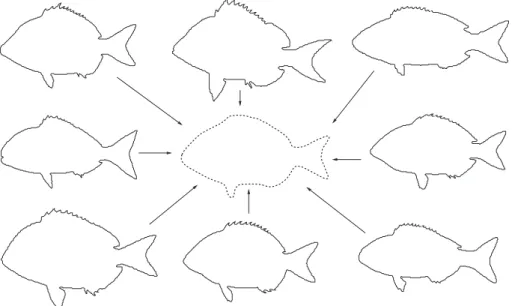 Fig. 11. The mean of eight fishes.