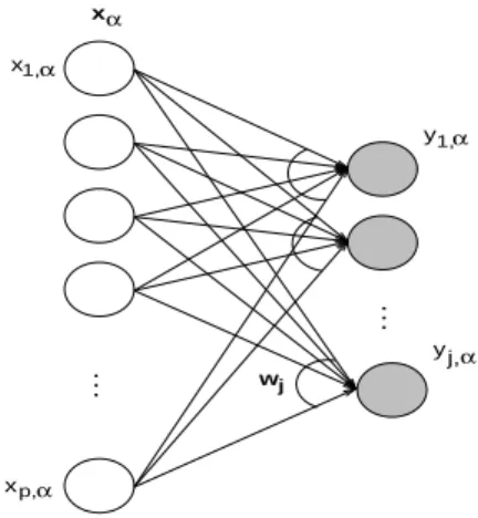 Fig. 1. A PCA network is a one-layer feed-forward neu- neu-ral network which is able to extract the eigencomponents of the stream of input vectors