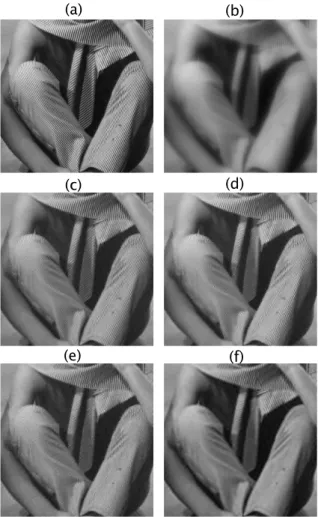 Fig. 1. Deconvolution of Barbara 512 × 512 . (a) original, (b) blurred and noisy BSNR=30dB, (c) our method ISNR=5.66dB, (d) ForWarD [7]