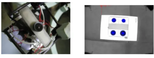 Fig. 2. (a) The camera. (b) The target view from the camera.