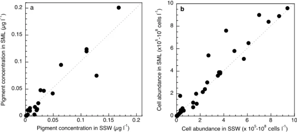 Fig. 3. Relation between (a) pigment concentration and (b) the abundance of autotrophic and heterotrophic cells in the surface microlayer (SML) and in subsurface waters (SSW)