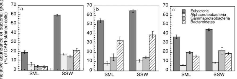 Fig. 5. Relative contribution of Eubacteria and major bacterial groups to total DAPI-stained cells in the surface microlayer (SML) and in subsurface waters (SSW) at Stations MAR (a), GYR (b) and STB17 (c)