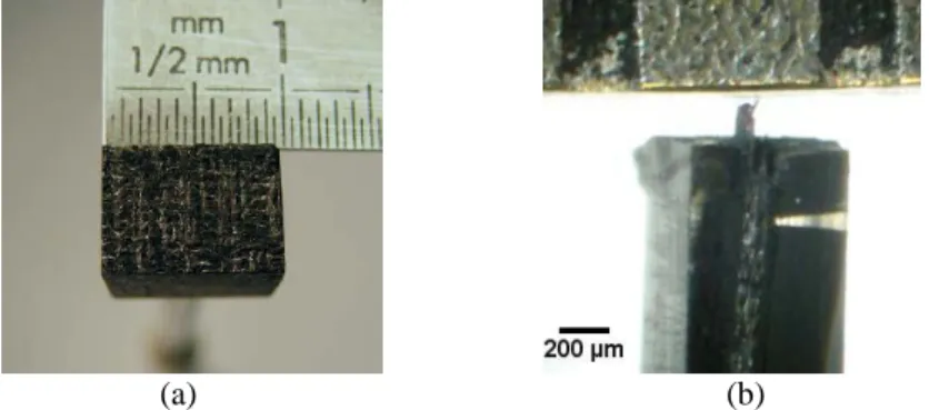Fig. 2. (a) SN1 sample; (b) Sa sample. 