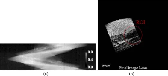 Fig. 5. ASDIR reconstruction of the Sa sample: (a) extended sinogram; (b) ASDIR image