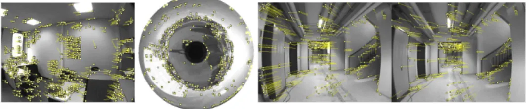Figure 1: Feature tracks for one image of a generic camera in three cases: per- per-spective (left), catadioptric (middle), and stereo rig (right) cameras.