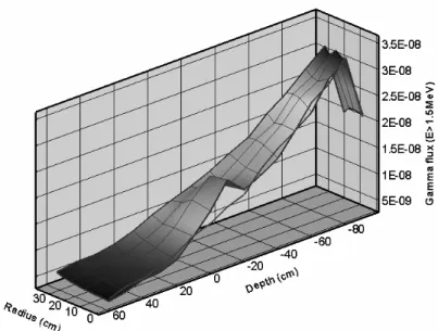 Figure 3. Coincident gamma-ray map of the container for a 25-kg TNT sphere centered at depth -25 cm in a 0.5-g/cm 3  organic matrix  (top detectors)