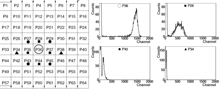 Figure 6. Alpha particle YAP:Ce crystals and energy spectra of interest. 