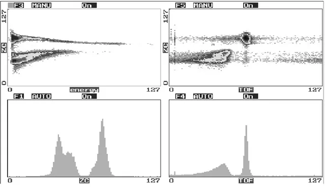 Figure 8. Neutron-gamma discrimination. 