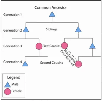 Figure 3 depicts the sequential flow showing siblings in the second generation, first cousins  in the third, and the link between first cousins once removed between the third and fourth  generations