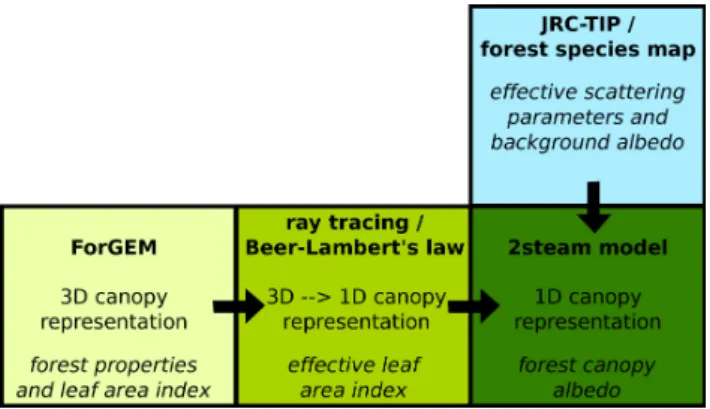 Fig. 1. Sketch of the model chain linking the forest gap-model, ray tracing, two-stream radiation transfer model and  remote-sensing-based model parameters