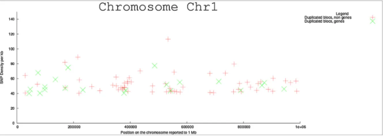 Fig. 2. Chromosomal location of duplications in African rices compared to Asian on Chromosome 1