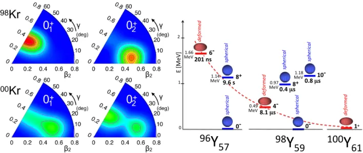 Fig. 4. Shape coexistence occurs when different microscopic configurations correspond to similar binding energies, as illustrated by the wave functions of 0 + states in the neutron-rich krypton isotopes beyond N=60 (left), where oblate and prolate shapes a