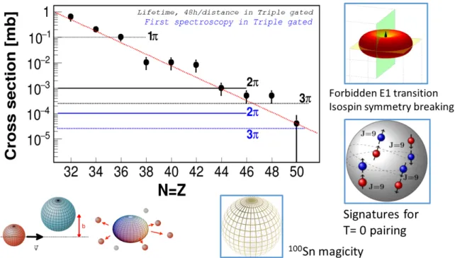 Fig. 6. The evolution of AGATA will allow more and more exotic N =Z nuclei to be reached
