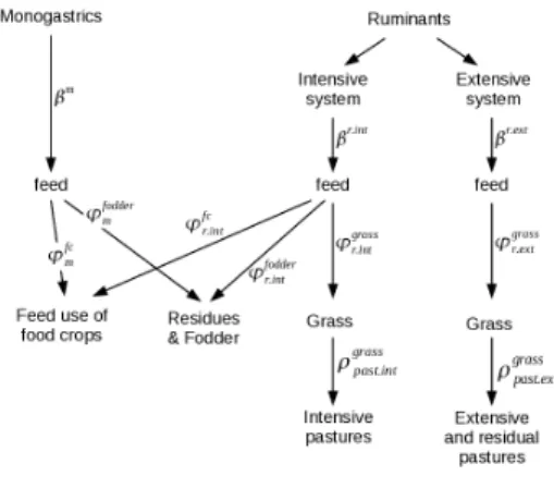 Figure 10: Links between animal calorie production, feed categories and pasture areas.