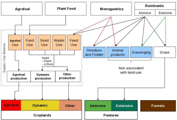 Figure 3: Links between food and agrofuel demand and land-use.