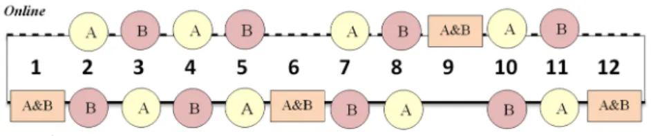 Figure 3.  Organisation of the blended course