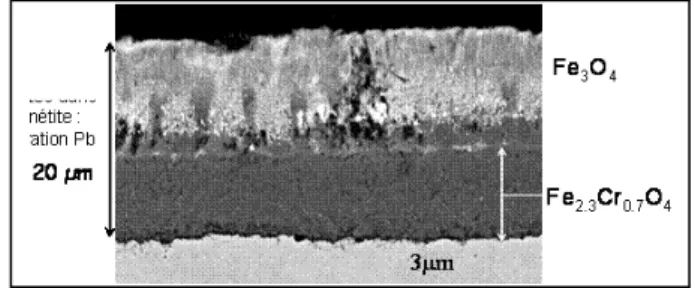 Figure 4 : oxidation layers on a T91 steel, 3700h at  470°C in oxygen saturated Pb-Bi (by courtesy of  L.Martinelli, CEA Saclay)