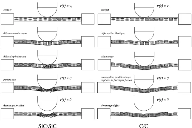 Fig. 5. Représentation schématique du scénario d’impact dans des composites SiC/SiC et C/C