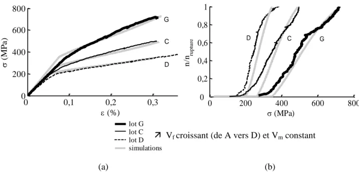 Fig. 10. (a) Comportement en traction des minicomposites pour trois fractions volumiques de fibres (lots C et D, et le  lot G guipé), et modélisation des courbes contraintes-déformation pour G c m  20 J 