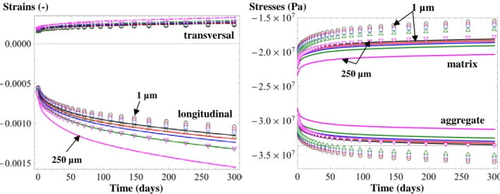 Fig. 3. Longitudinal and transversal creep strains obtained numerically (symbols) and analytically (lines) for  interface thicknesses of 1, 25, 50, 100 and 250 µm (left)