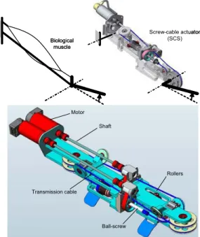 Fig 9. ABLE - 4 axis kinematics  