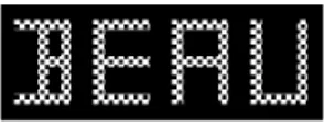 Figure 1. A four letter word as displayed on the screen during the experiment. Each letter is assembled from 12 lines (6 horizontal and 6 vertical).