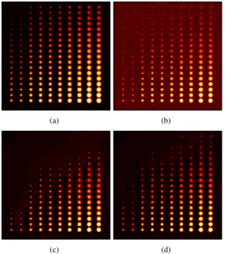 Fig. 1. Simulated source denoising. h = 2D B 3 -Spline filter, η = 0, FDR = 0.01, and 10 iterations