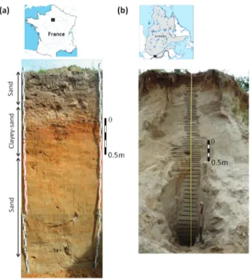 Fig. 1. Locations and photographs of the trenches where sand samples  were taken for soil water extraction and water isotope analysis for (a)  the Paris Basin and (b) the St