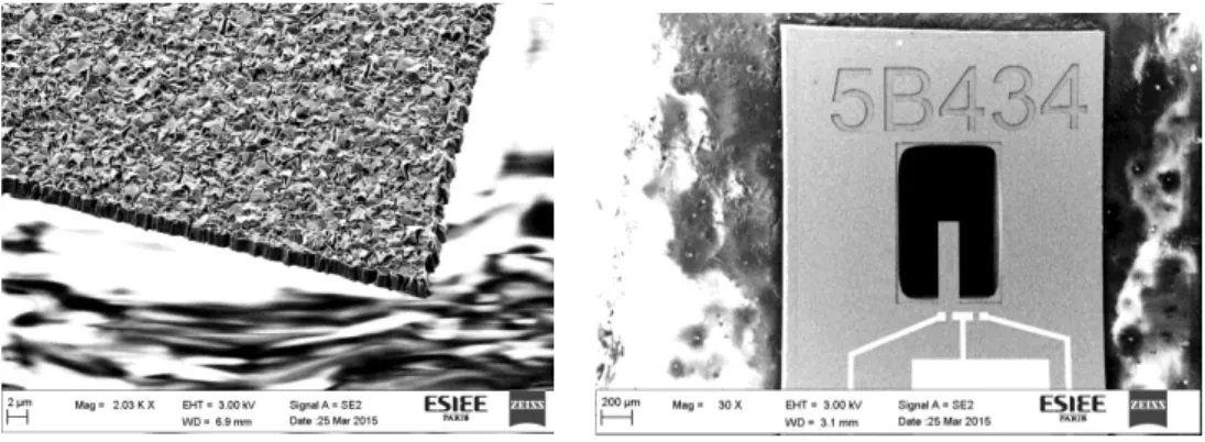Fig. 3. (a) SEM image of the board of a diamond cantilever; (b) SEM image of a silicon cantilever (top view) where we can see the identification  code of the sensor 