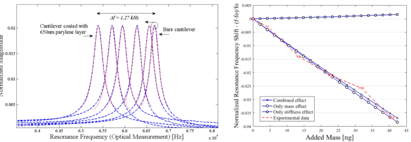 Fig. 4. (a) Frequency response profiles obtained from optical measurements (blue) and their fitting curves (red) for repeated depositions; (b)  Normalized Resonance Frequency Shift in dependence of added mass for theoretical mass effect only, theoretical s